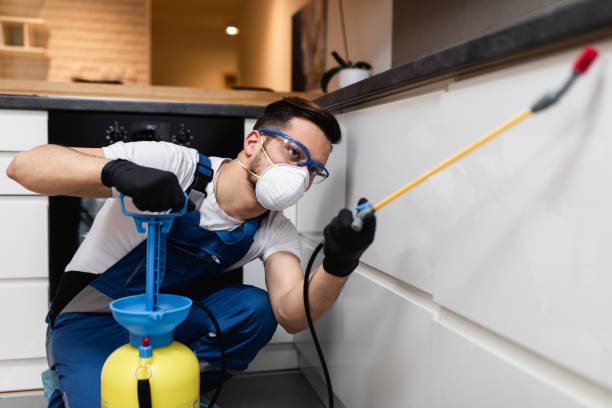Best Pest Control Treatment  in Flushing, MI
